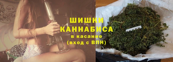 хмурый Аркадак