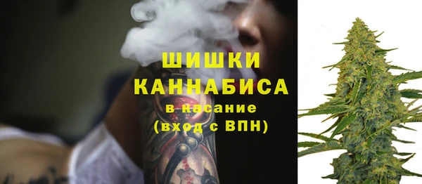 хмурый Аркадак