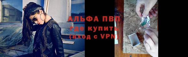 сатива Арсеньев