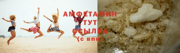 сатива Ростов