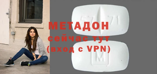 хмурый Аркадак