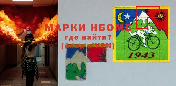 хмурый Аркадак