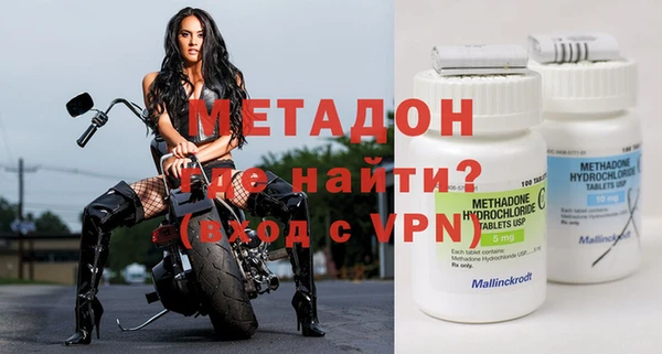 хмурый Аркадак
