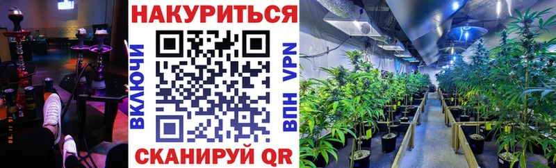 Шишки марихуана планчик  Николаевск-на-Амуре 